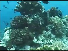 THP02 Passionate Night-Moaning Babe Gets Fucked Hard & Squirts Wildly