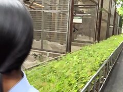 FC2-PPV-4269710 Passionate Nights-Hot Japanese Amateurs Explore Desire Together