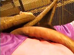 TSW93 Excited Newcomer Unleashes Her Talents in a Steamy Porn Premiere!