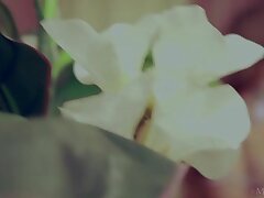 Babes_041 Passionate Japanese Orgy-Wet Pussies & Multiple Cocks in Action!